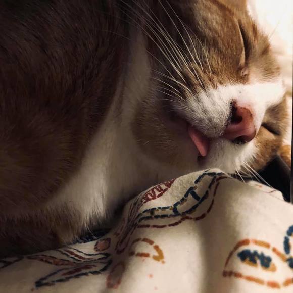 Meet your Posher, 션 - Picture 1 of 1